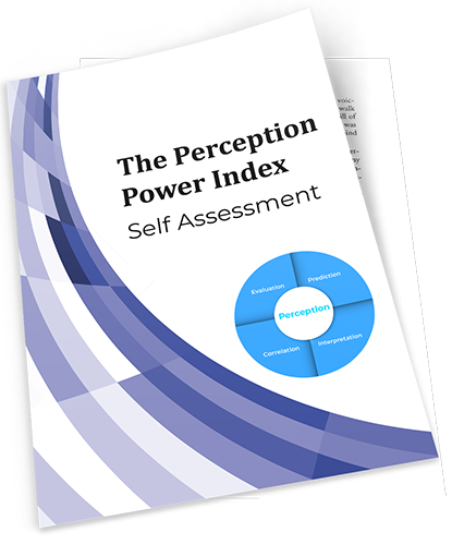 Perception Power Index Assessment